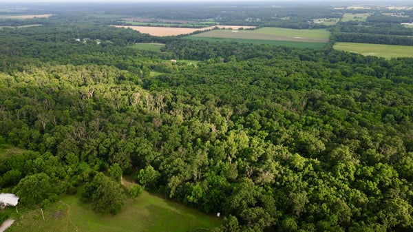 8879 COUNTY LANE 87, CARTHAGE, MO 64836 - Image de6c8f2052baf46a22a36c7a720c29cc/2820628200