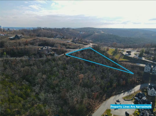 LOT 34 CANYON ESTATES, BRANSON, MO 65616 - Image df124b3a50c25bc588e7dc365764a138/367318465