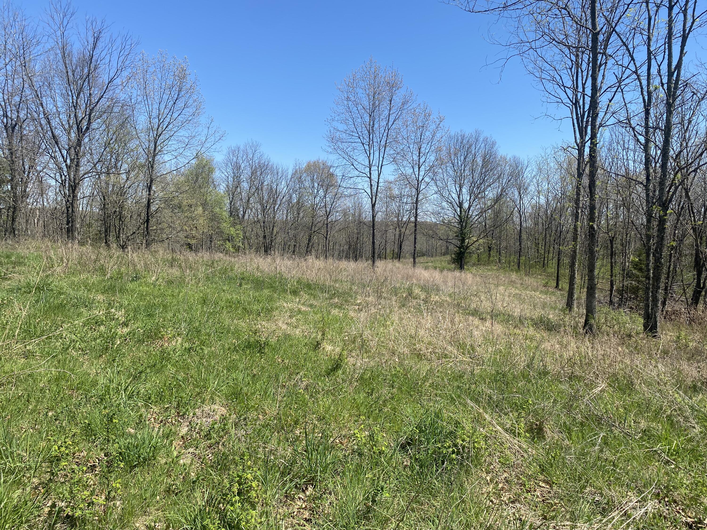 Ideal location for Hunting lodge or your own personal getaway. Surrounded by Busiek State Forest but very private, lake and forest