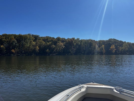 FOX FIRE LN, SHELL KNOB, MO 65747 - Image df8caa812486afc846e1aeacdd409b2d/1913670210