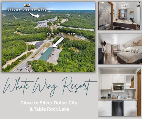982 INDIAN POINT RD, BRANSON, MO 65616 - Image e096590c6a3dab38cb5b201c7b7e41b0/2014330762