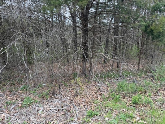 2 HOLIDAY HILLS DR, CAPE FAIR, MO 65624 - Image e10405c1130f52baa4b53f588fa5ea54/1365999971
