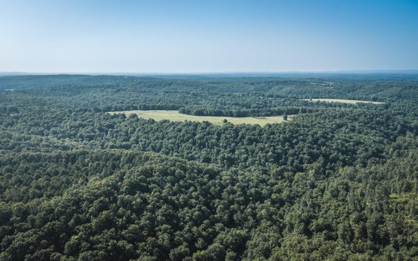 141 PRIVATE RD, WEST PLAINS, MO 65775 - Image e1099273724f6a148c7f3bd9ef522cff/4114428664