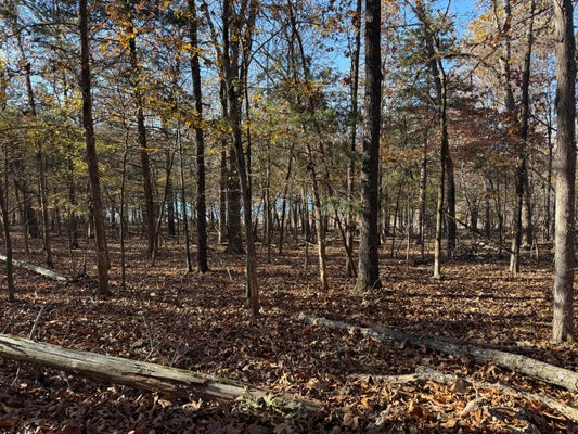 22 PANDA LN, THEODOSIA, MO 65761 - Image e1df809a3d00964b16e1b553623e3b22/837361614