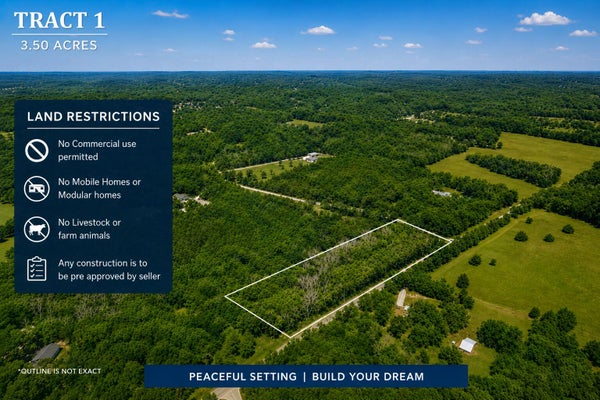 205 MAYFLOWER DR, LAMPE, MO 65681 - Image e1df8486f522d24fee691ceb457c86b8/4261164833