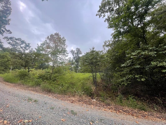 000 FERNWOOD DRIVE, THEODOSIA, MO 65761 - Image e221a65dca06062f436f6ccd0b59893e/2284821212