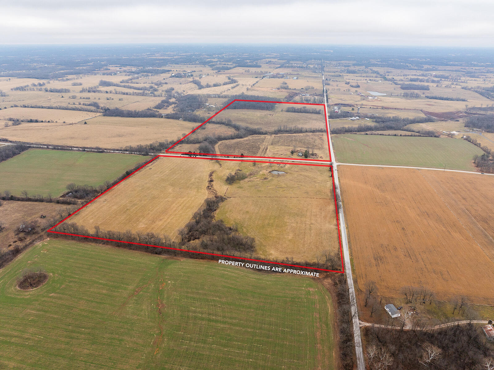 If you're looking for a fantastic opportunity in rural living, this nearly 120 acres of farmland in Clever, MO is a gem you don't want to miss! Nestled in the heart of the Ozarks, this property offers a perfect blend of spacious land and natural beauty. With a total of 118 acres, you'll have plenty of room for farming, livestock, or creating your private retreat. The expansive fields are already fenced with a rotational grazing system. There is water access throughout the property, with tanks in each grazing section. There is a beautiful wet weather creek that runs through the property. The 118 acres are made up of two tracts: tract 1 is 38.8 acres, and tract 2 is 79.30 acres. The seller will sell the tracts together or separately. Located in Clever, MO, you're still within easy reach of nearby amenities. The local community offers charming shops, essential services, and great schools, while Springfield is just a short drive away. Whether you're looking to build a home, start a farm, run cattle, or simply enjoy the space and serenity, this property has endless possibilities.