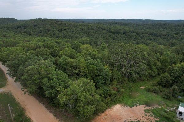 000 COUNTY ROAD 76-126, AVA, MO 65608 - Image e32251bf52997dcec674e83d4bd6d62a/2833944686