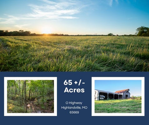 154 STATE HIGHWAY O, HIGHLANDVILLE, MO 65669 - Image e33258fb447161232cc32a57504f50e7/3878073668
