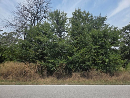 127 BLACK FOREST LN, REEDS SPRING, MO 65737 - Image e6a6c4769133fe893f40ca9b9c33fc3a/1094978250