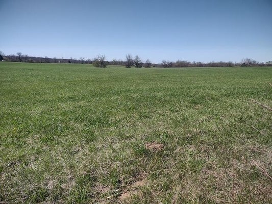 COMMERCE RD, MARSHFIELD, MO 65706 - Image e6d8c9e81c2b5636178b068b73aaaef7/3803301875