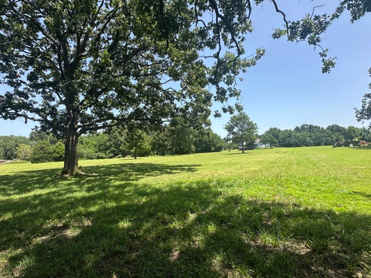 12866 KLAUSEN LN # TRACT, NEOSHO, MO 64850 - Image e90ceb2e4e6becf75ccc9cd8377eee0b/37770612