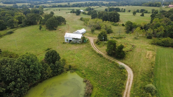 ADDRESS PRIVATE, ROLLA, MO 65401 - Image e9c76dd840793edce120a4376df002e9/1990836078