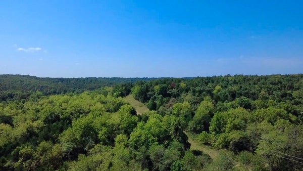 OAK GROVE RD, CABOOL, MO 65689 - Image e9d6b889f0a480524cd91a6c91be20a7/1841398292