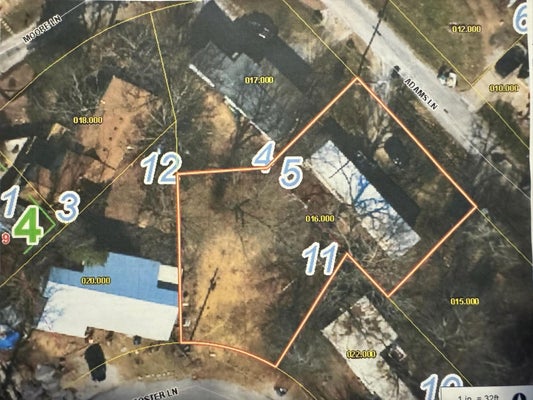 28 ADAMS LN, BLUE EYE, MO 65611 - Image eaea60434b6a5ba6b2a30ae1d144c024/2183608631