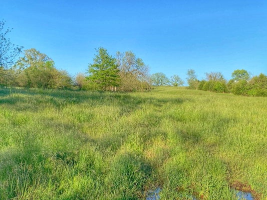 5875 N CURRIE LN, SPRINGFIELD, MO 65803 - Image eaffe7cf898eb643110eb33f37909eea/1683984912