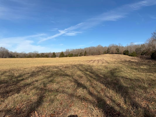22 COUNTY RD 328, KOSHKONONG, MO 65692 - Image eb03628261a61300c45b038645f804aa/4201851076