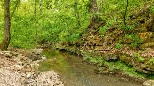 WOODLAND DR, HARTVILLE, MO 65667 - Image eb205060fbb3c71a793f7b5386e75d50/3914597019