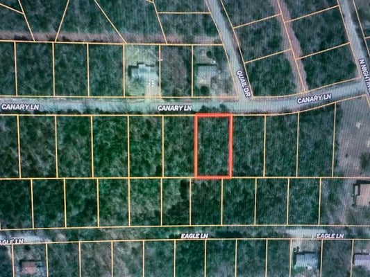1001 CANARY LN, HORSESHOE BEND, AR 72512 - Image eb89c3a114076adde4d6c8e3ce0c955a/4614098