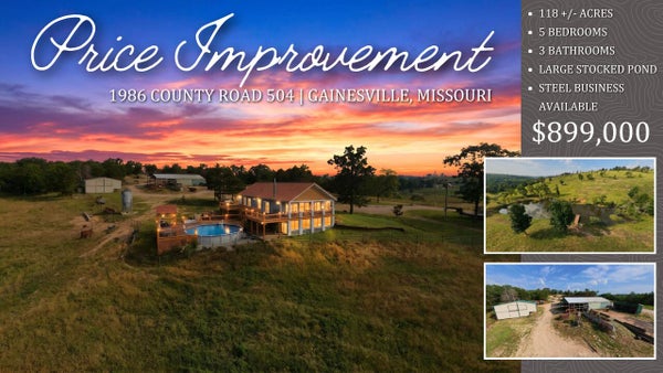 1986 COUNTY ROAD 504, GAINESVILLE, MO 65655 - Image eb9389c78b436854a7d58dd2126cd403/4290702553