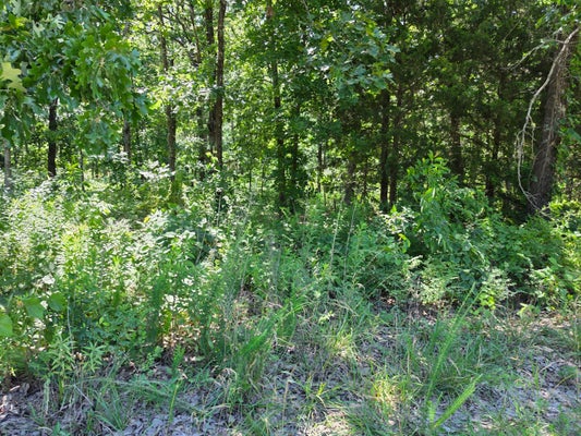 157 HIDDEN POND DR, FORDLAND, MO 65652 - Image ec517bf8a62460dc1ea50c71e0d750f8/526505975