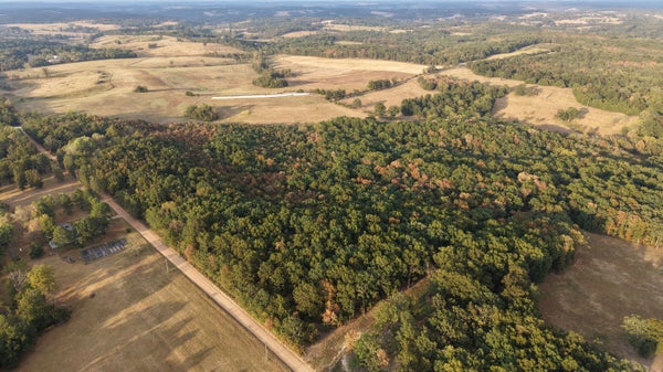 4134 HATFIELD RD, NORWOOD, MO 65717 - Image ec990dd85fe9c12cb53aeb95e698169b/2712690798