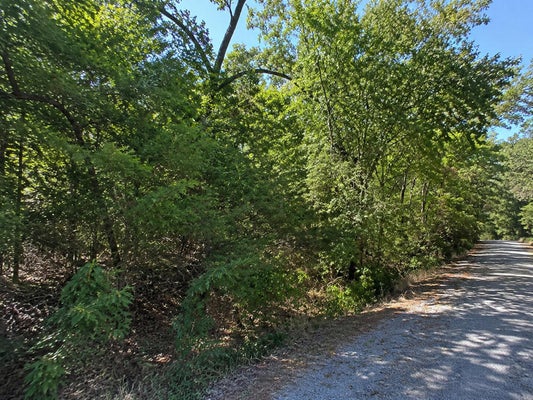 SONG BIRD DR, GOLDEN, MO 65658 - Image ecb79b03bb1b1b5c0bc344d5abd3e6d6/2366297298