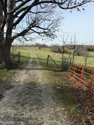 14658 COUNTY ROAD 7430, CAULFIELD, MO 65626 - Image ecd6e9995a057a2e2a1ab673d6825515/675960037