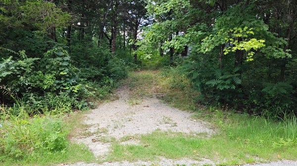 4185 OAKWOOD RD, MERRIAM WOODS VILLAGE, MO 65740 - Image ed13ab2b7f61291b424742ce5b3d2e29/3747849100