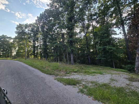 75 JEFFERY LN, CAPE FAIR, MO 65624 - Image ed89241ca8806fad4ec95b235a8ca2e2/2747837125