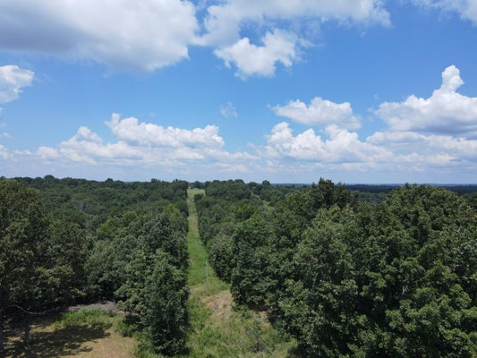000 COUNTY ROAD 359, THAYER, MO 65791 - Image edf325afce6f6eeff94f2b690edc4927/2778567040
