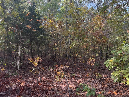 ADDRESS PRIVATE, NORWOOD, MO 65717 - Image eec3d239a66c0cd6a3ca4cbc66bbe7b0/3170970450