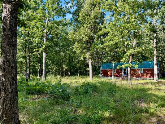 29750 MAUKA DR, LEBANON, MO 65536 - Image ef47e90d82205e4c119cdbbe07983572/533943053