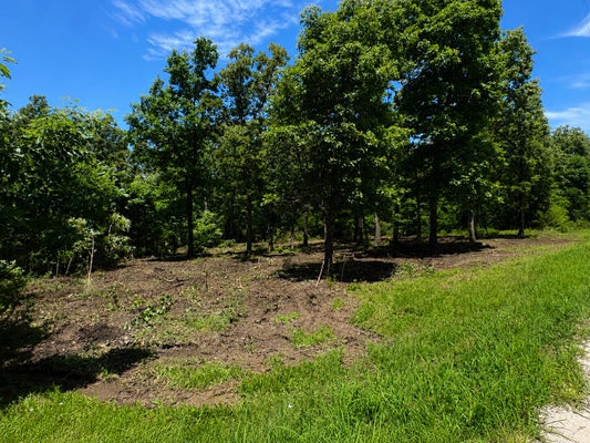 COUNTRY PLACE DR, URBANA, MO 65767 - Image ef753e3a709cffdb1c6162aefa6b0b73/936741768