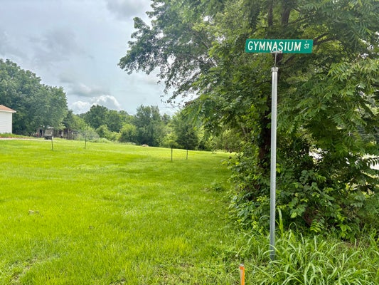 108 GYMNASIUM ST, EVERTON, MO 65646 - Image f1bd99a61555dcad73a1c21d75d06e42/3115382124
