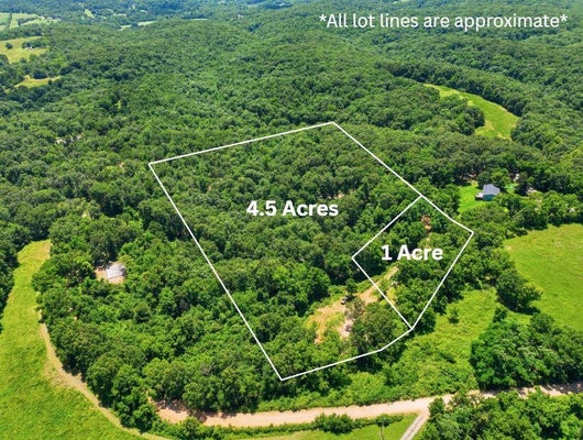 989 SCHLESSMAN RD, ANDERSON, MO 64831 - Image f3036e57ccbc211ae16321bb830fb55e/199018736