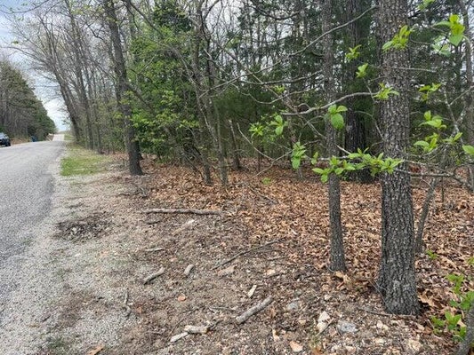 176 ENTRY RD, RIDGEDALE, MO 65739 - Image f30f85e53dfdb2dd970c818d51616158/102866003