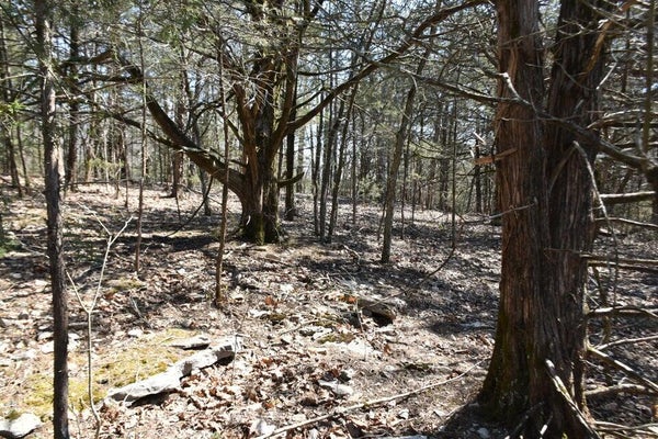 000 BURK ROAD, HIGHLANDVILLE, MO 65669 - Image f4727d78b21f6ebee5cec97bdee2fabb/1859216158