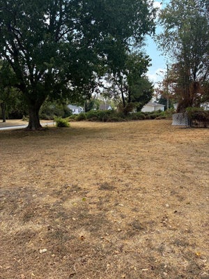 2004 W 14TH ST, JOPLIN, MO 64801 - Image f4aee0f063aa637f8ab35da1160efad8/846683126