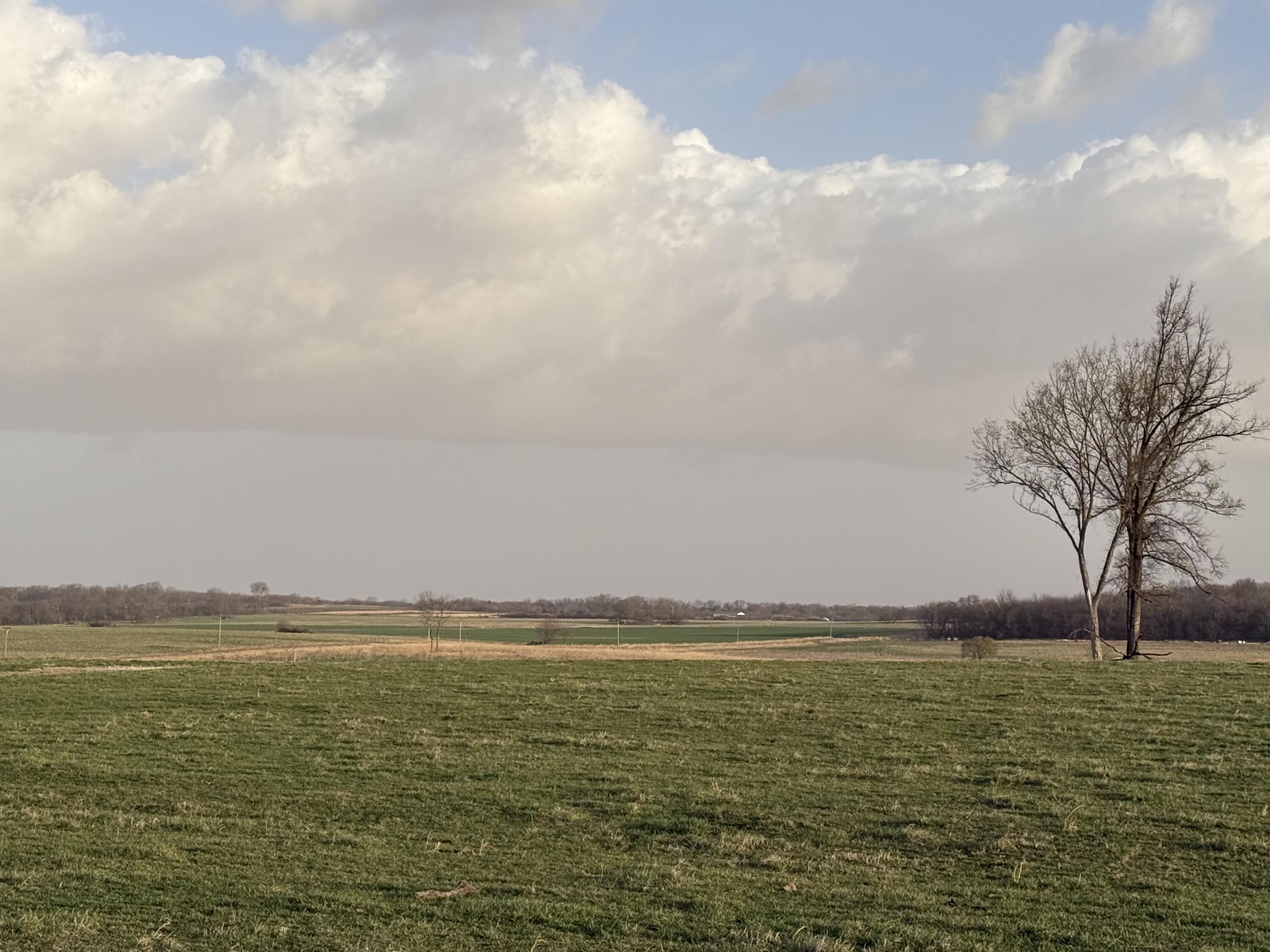Hard to find 536.2 Acres located just south of Hwy 160 and West of Hwy 39 between Greenfield and Lockwood.  Almost all new fencing and new pipe corral and entrances.  A good portion of the property is established row crop ground with the remaining in pasture and wooded recreation ground.