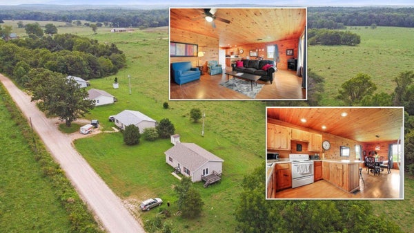 2622 COUNTY ROAD 382, DORA, MO 65637 - Image f539d36c4779105c862ea5eece82e97f/2111002886