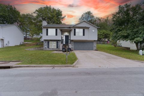 Photo of 225 Blossom Valley Road, Branson, MO 65616 (MLS # 60307550)