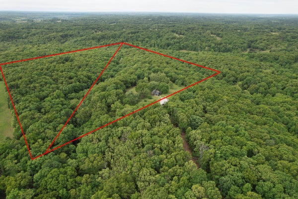 10550 STATE HIGHWAY A # TRACT, CRANE, MO 65633 - Image f7097a5252ea0b242dfbb522b0496fbf/4203768398