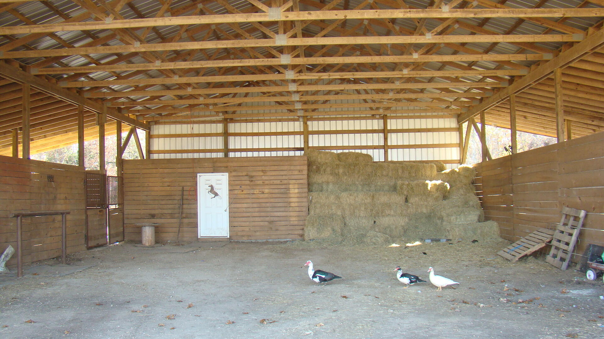 N/A - Farm