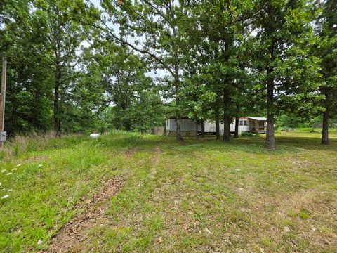 Photo of 295 Black Oak Road, Mammoth Spring, AR 72554 (MLS # 60324614)