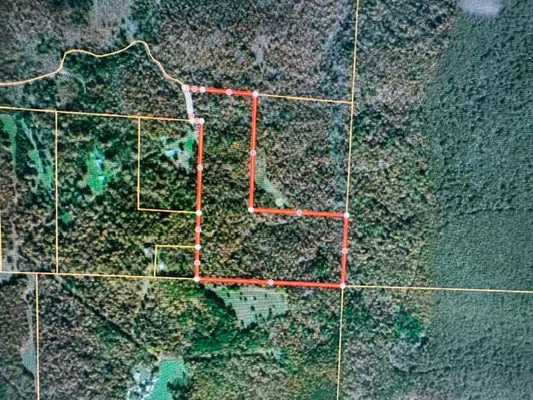 12 COUNTY RD 434, BIRCH TREE, MO 65438 - Image f8393eefd2c139e52c599b7a7ac9c36a/4248855155