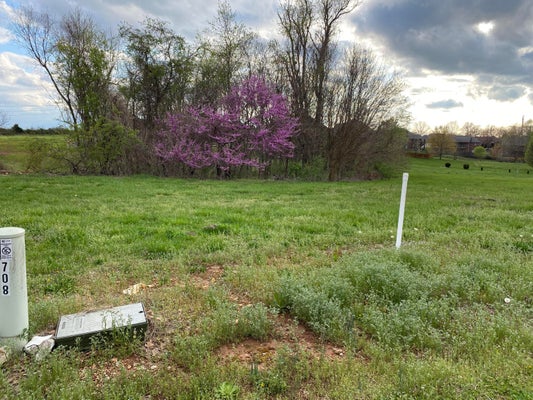 LOT 24 BENTWATER PHASE 3, NIXA, MO 65714 - Image f8d06ac67d8d0520dd3bbfdf1f71afef/3218615507