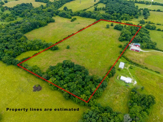 12 STATE HWY E, OSCEOLA, MO 64776 - Image f949f8eeece334be27ccb11f35f84dca/2595120873