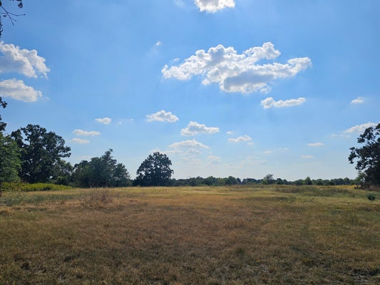 123 W HIGHWAY H, MONETT, MO 65708 - Image f94f0d855dd22d33579e77464c7c81cc/3654767807