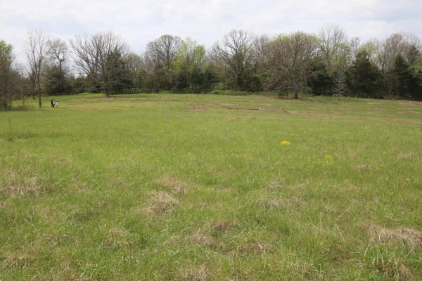 37 RIVER PASS DR, MARSHFIELD, MO 65706 - Image f95d92ade020a0ec0f3df02509399ef9/232338176